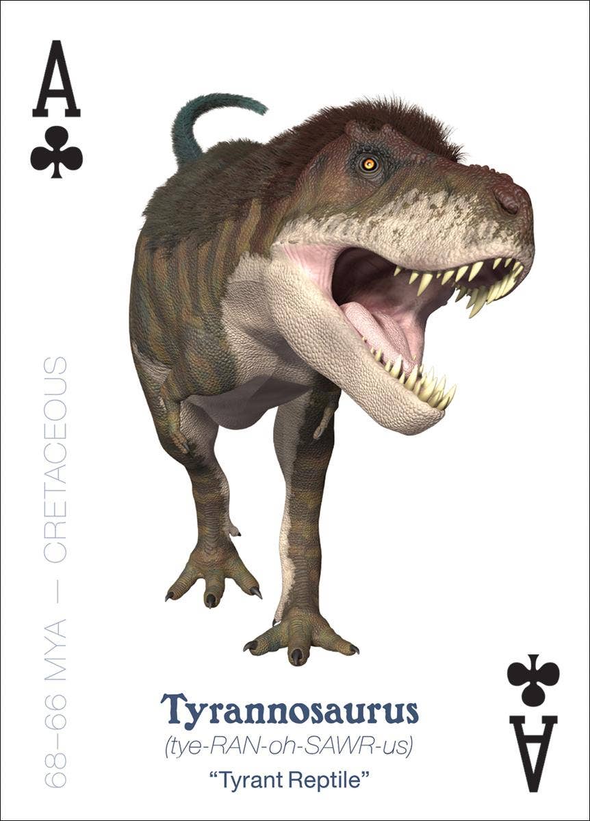 Amazing World of Dinosaurs Playing Cards