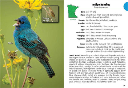 Birds of Minnesota Field Guide 3e