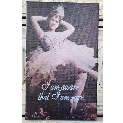 Canvas - I Am Aware That I Am Rare