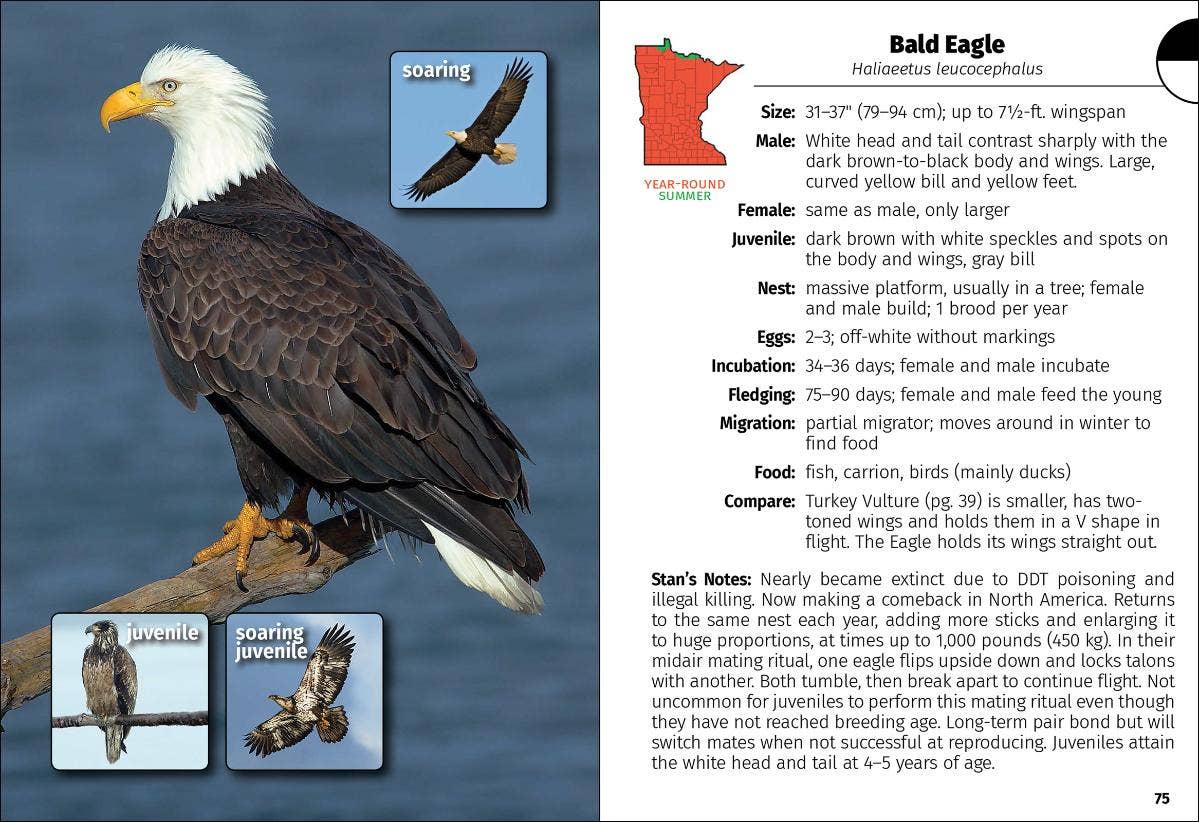 Birds of Minnesota Field Guide 3e