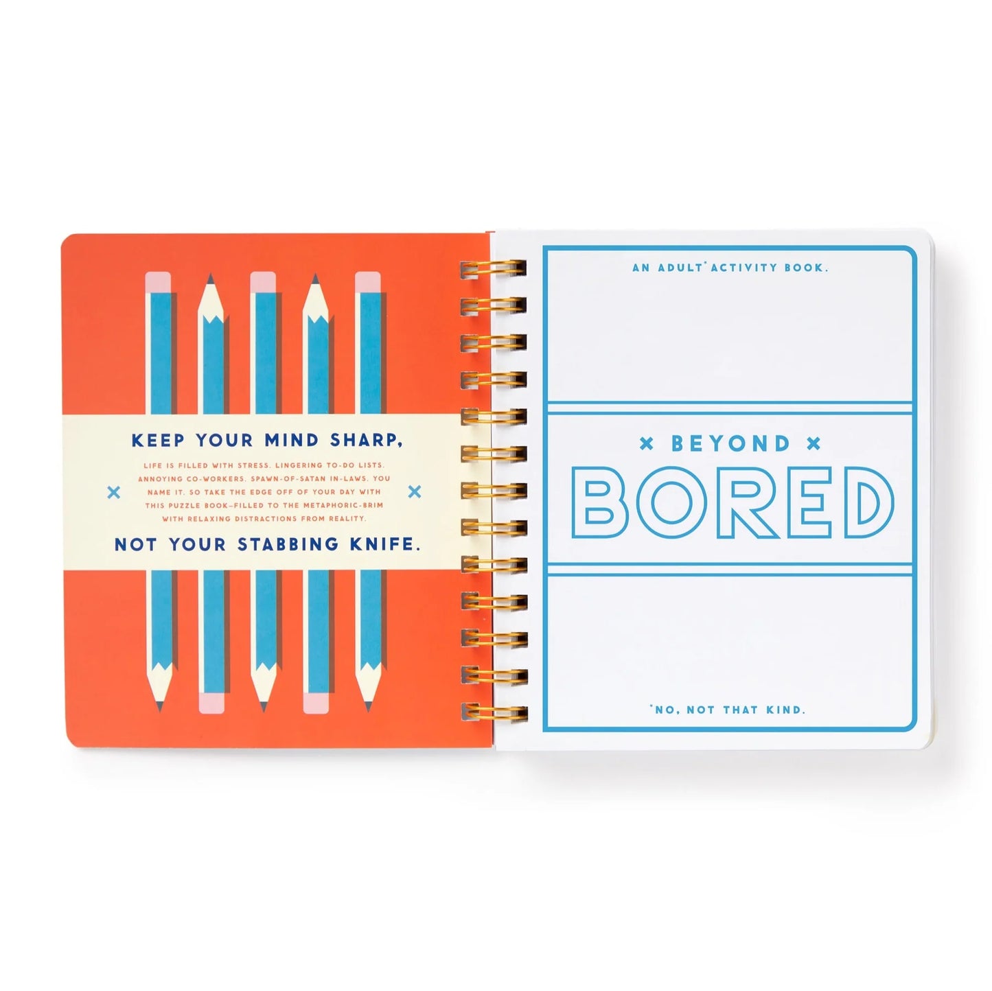 Beyond Board Activity Book