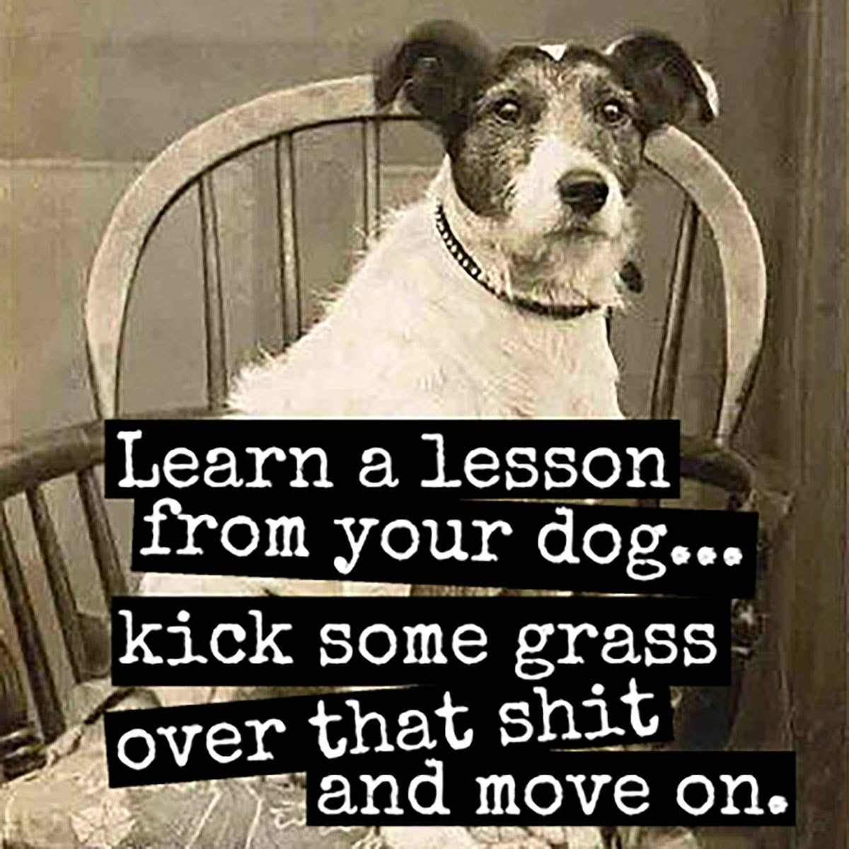 Magnet - Learn A Lesson From Your Dog