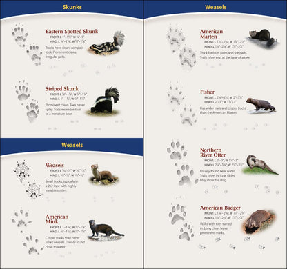Animal Tracks of Midwest Quick Guide