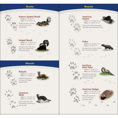 Animal Tracks of Midwest Quick Guide
