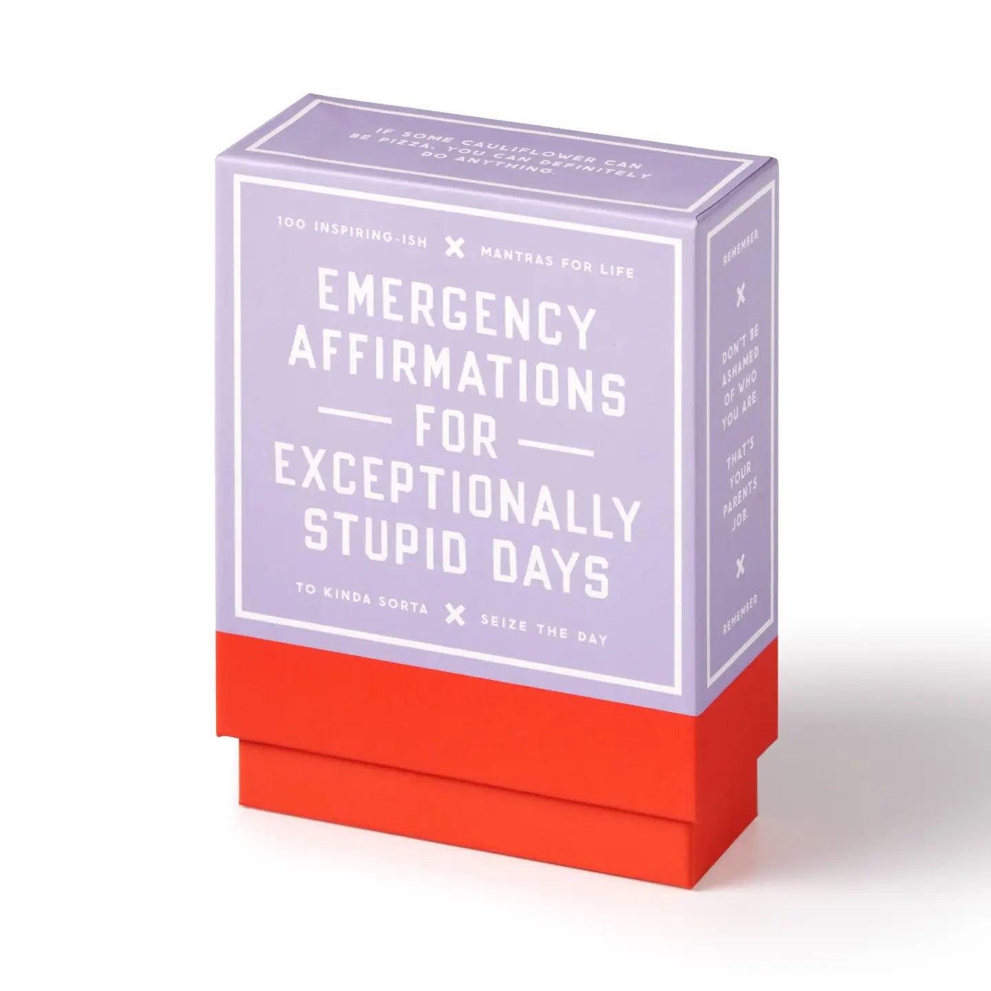 Emergency Affirmations For Exceptionally Stupid Days Card Deck