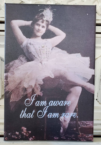 Canvas - I Am Aware That I Am Rare