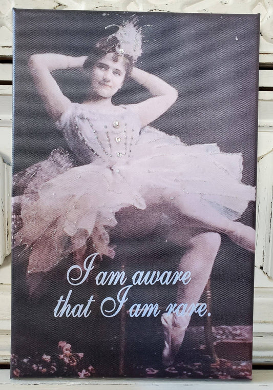 Canvas - I Am Aware That I Am Rare