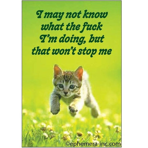 Kitten running on grass with humorous text on a green background