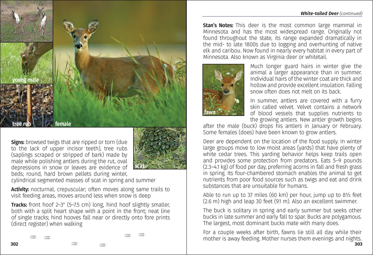 Mammals of Minnesota Field Guide 2e