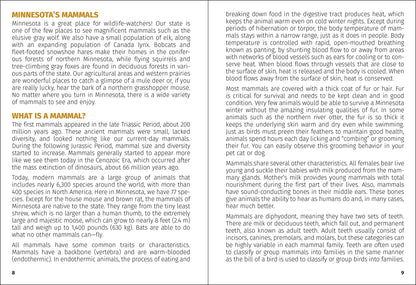 Mammals of Minnesota Field Guide 2e