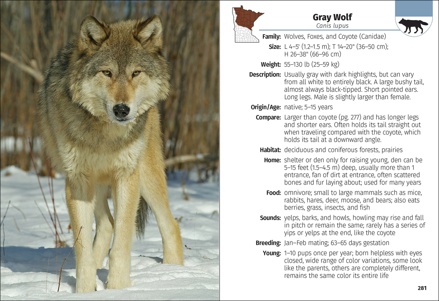 Mammals of Minnesota Field Guide 2e