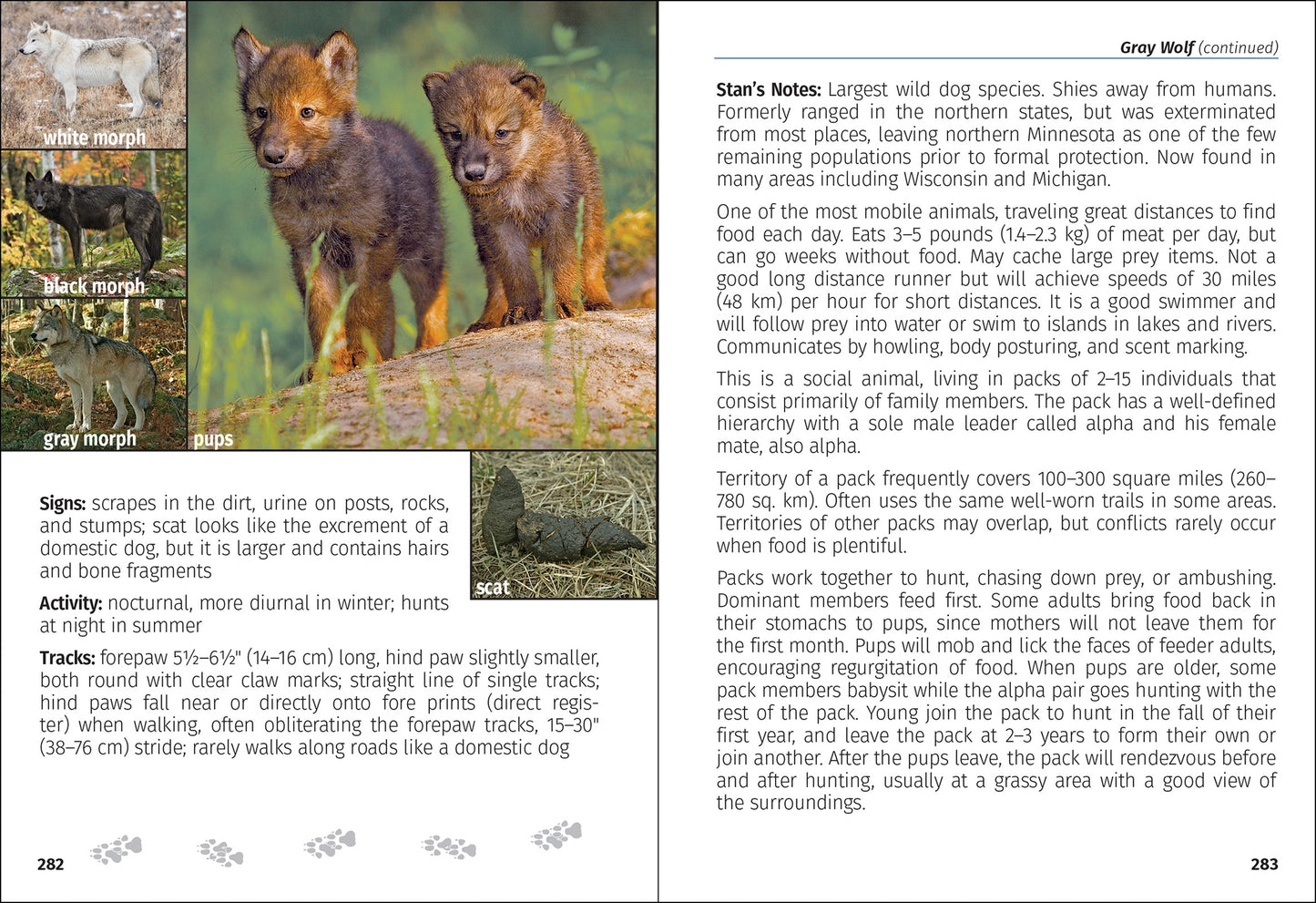 Mammals of Minnesota Field Guide 2e