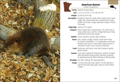 Mammals of Minnesota Field Guide 2e
