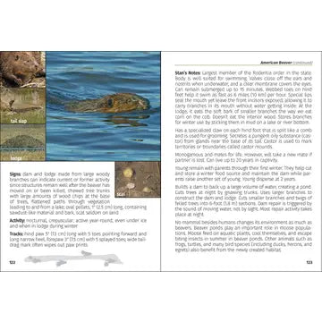 Mammals of Minnesota Field Guide 2e