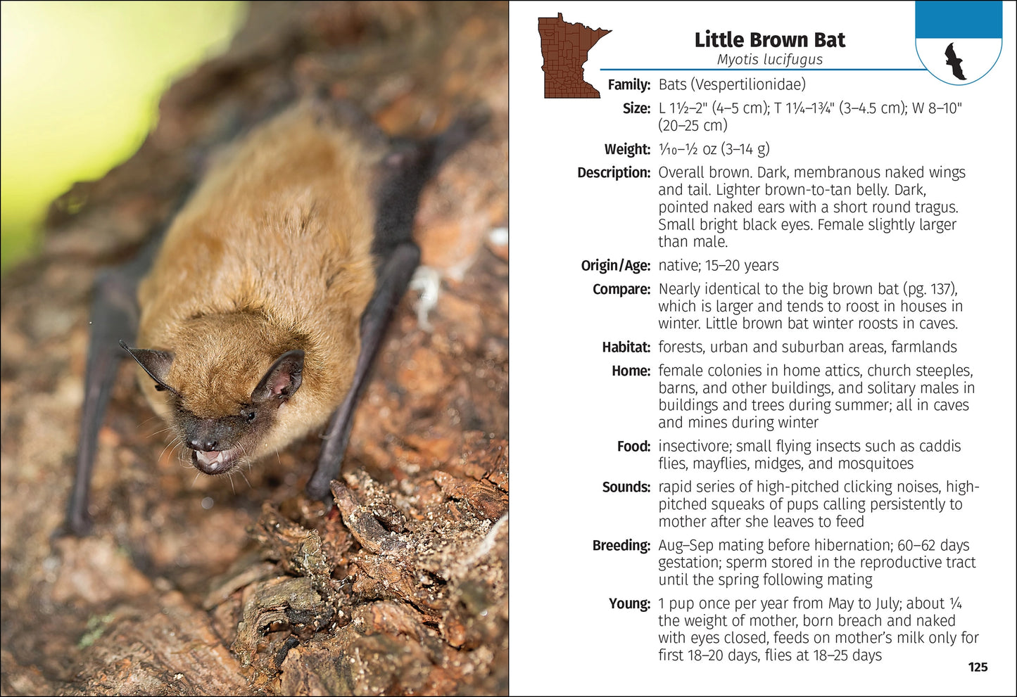Mammals of Minnesota Field Guide 2e
