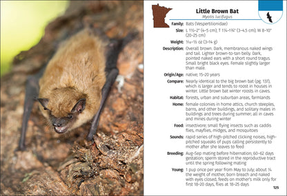 Mammals of Minnesota Field Guide 2e