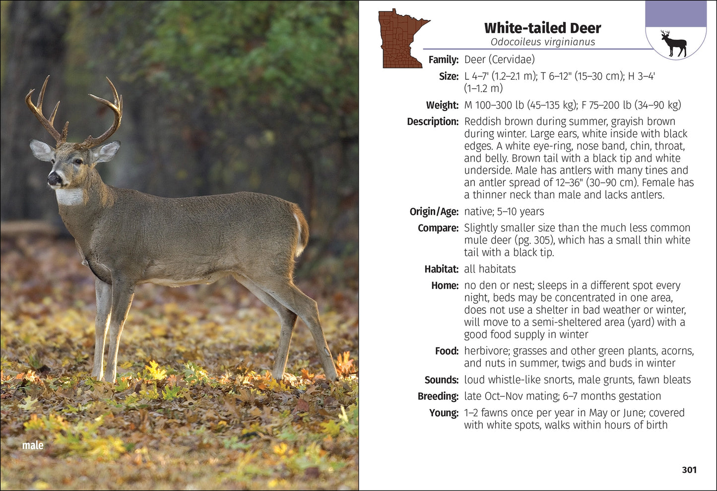 Mammals of Minnesota Field Guide 2e