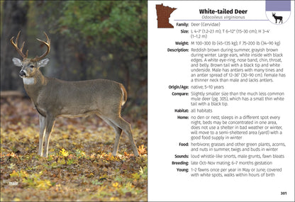 Mammals of Minnesota Field Guide 2e
