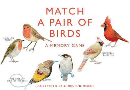 Match A Pair Of Birds Memory Game