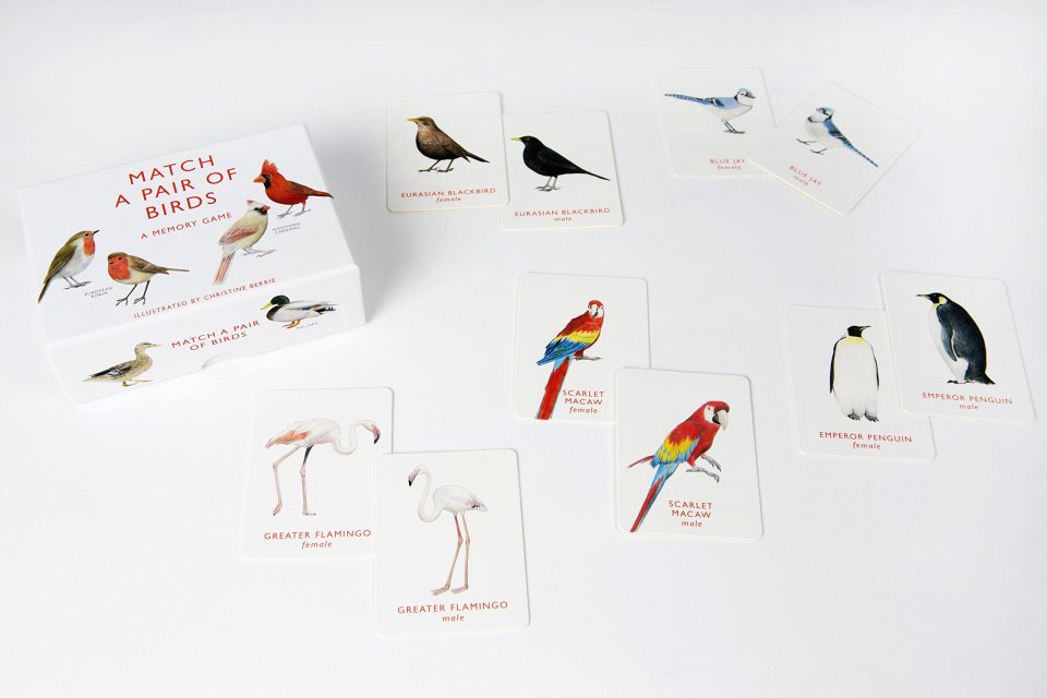 Match A Pair Of Birds Memory Game