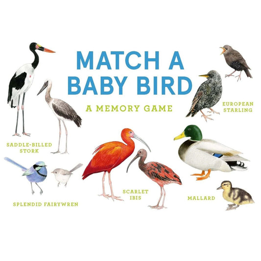 A memory game card or cover design featuring illustrated baby birds and the title text 'MATCH A BABY BIRD' on a plain white background.