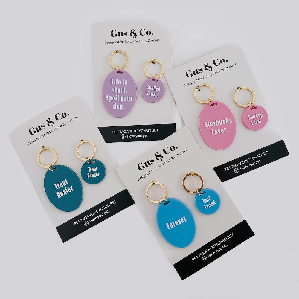 Dog Tag & Keychain Set