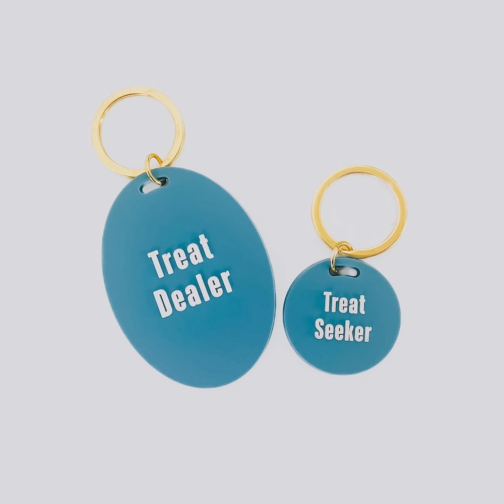 Dog Tag & Keychain Set