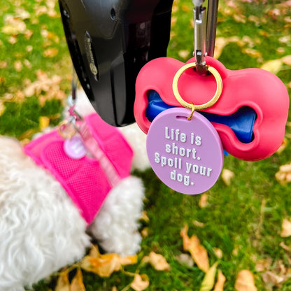 Dog Tag & Keychain Set