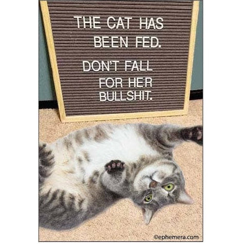 Cat lying on a carpet with a letterboard above it displaying humorous text.