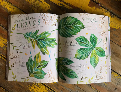 The Wildflower's Workbook - A Journal For Self Discovery In Nature