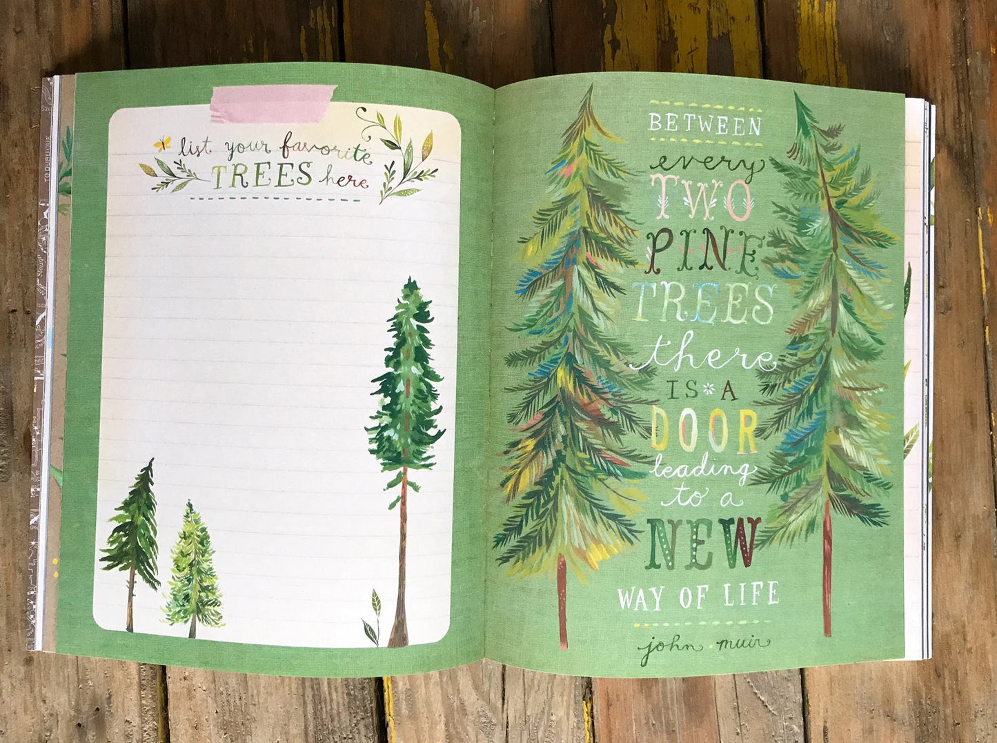 The Wildflower's Workbook - A Journal For Self Discovery In Nature