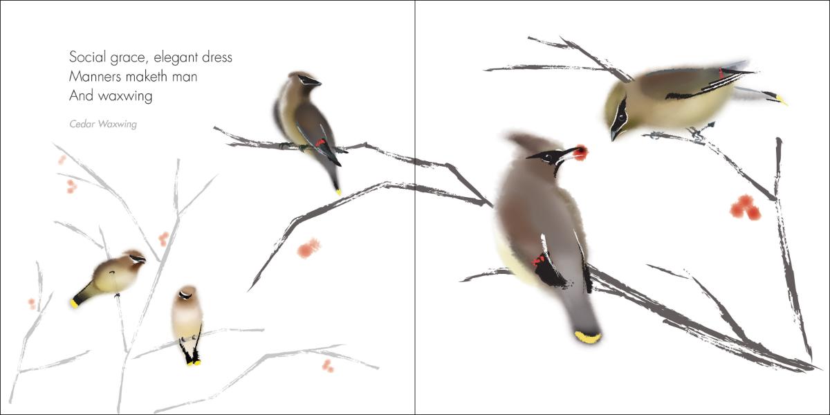Zen Birds