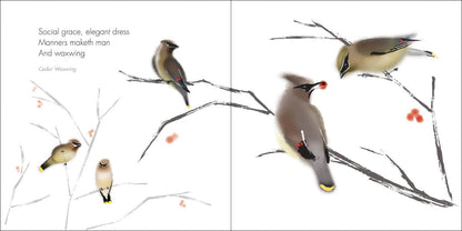 Zen Birds