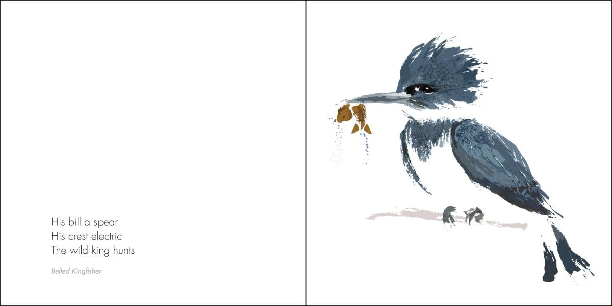 Zen Birds