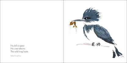 Zen Birds