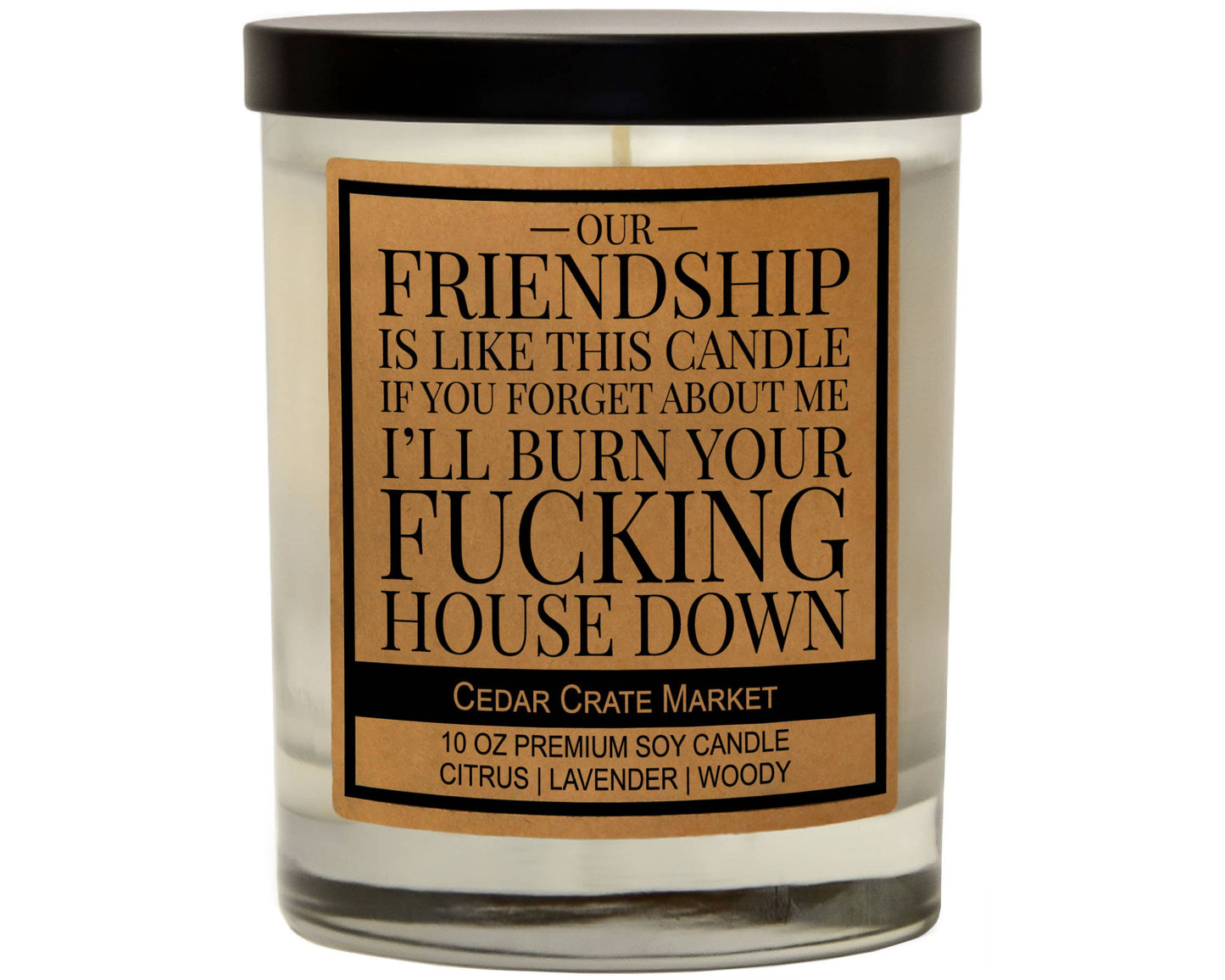 Our Friendship is Like This Candle Soy Candle